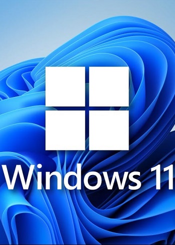 Windows 11 Pro Digital CD Key