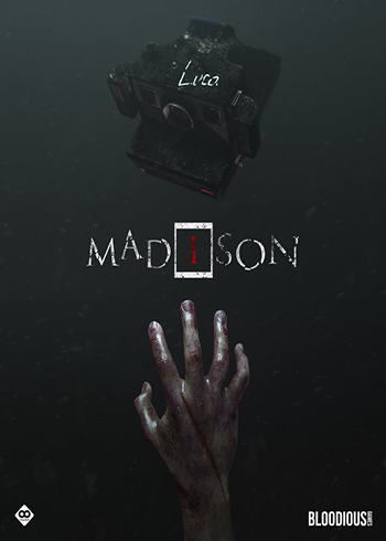 MADiSON Steam Games CD Key