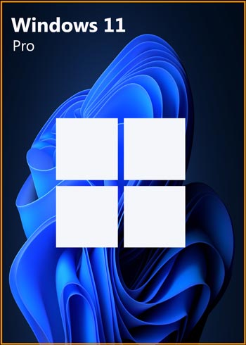 Windows 11 Pro Digital CD Key